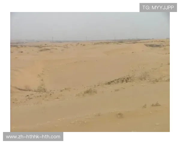 足球疲劳管理技术助力球员在赛季中保持最佳表现