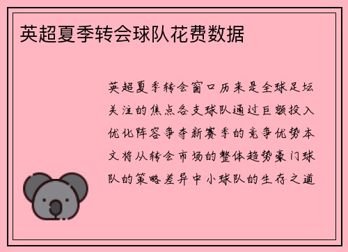 英超夏季转会球队花费数据